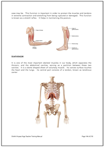 Remaking binds-p5.jpg