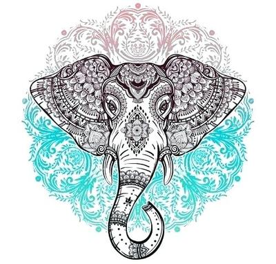 tumblr-design-mandala-design-elephant-mandala-mandala-designs-tumblr-designs-png.jpg