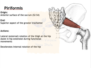 Drishti Vinyasa Yoga Manual Screen 10.png